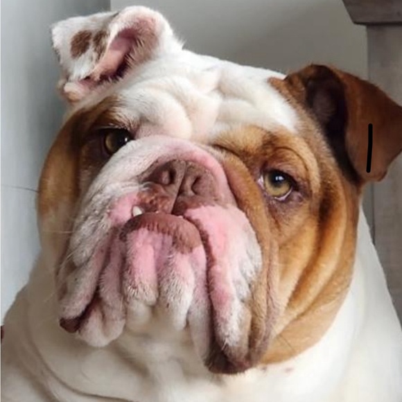 Our Baby Girl Miss Bella B - Picture 2 of 16